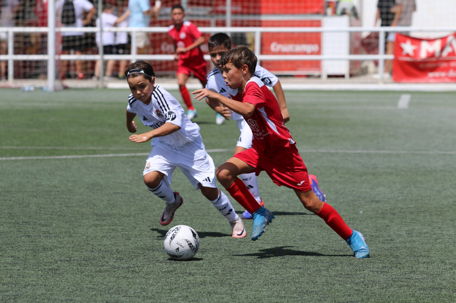 Verification Process